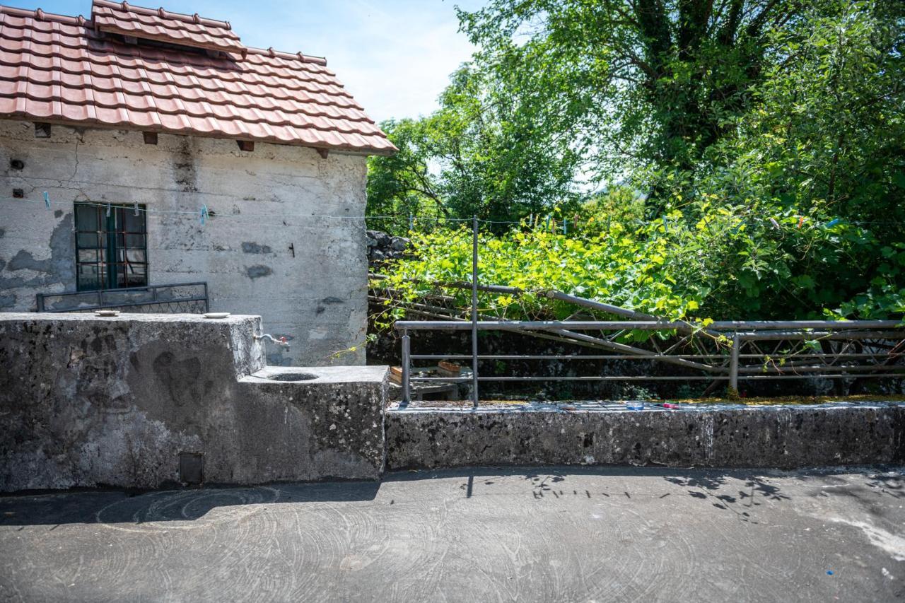 סטינג'ה Guest House Gornji Ceklin מראה חיצוני תמונה